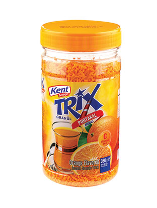 Orange Flavoured Instant Granuled Drink 350 gr